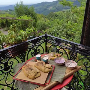 La Collina Olistica , Tregnago Italia